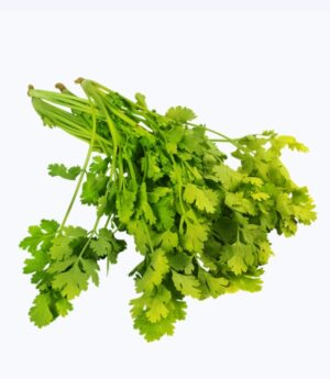 Coriander Leaves  हरा धनिया पत्ता (Hara Dhaniya Patta) - 100 Gram