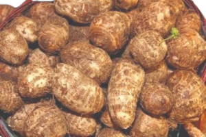 Taro Root / Colocasia  अरबी (Arbi) - 250 Gram.