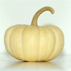 Ash Gourd / Winter Melon पेठा / सफेद कद्दू (Petha / Safed Kaddu) - 500 Gram