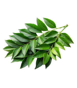 Curry Leaves  करी पत्ता (Kadi Patta) - 250 Gram.