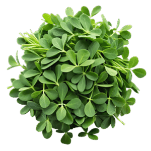 Fenugreek Leaves मेथी (Methi) - 250 Gram.
