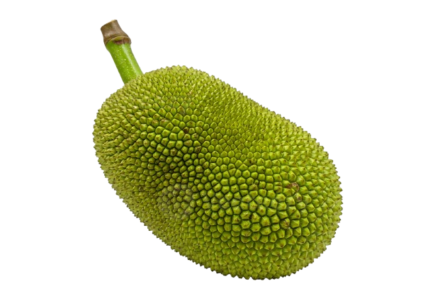 Jackfruit कटहल (Katahal) 250 Gram.