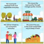 CHOUDHARY FRESH VEGITABLE & FRUIT CORNER