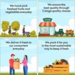 CHOUDHARY FRESH VEGITABLE & FRUIT CORNER
