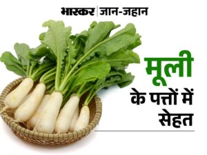 Radish मूली (Mooli) - 250 Gram.