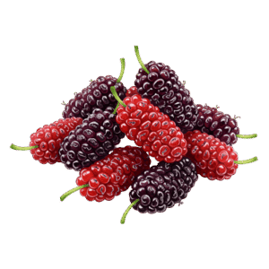 Mulberry शहतूत (Shahtoot)