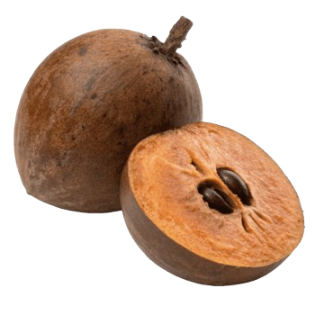Wood Apple बेल (Bel) 2 pcs.